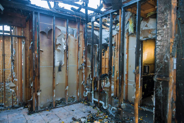 Professional Smoke Damage Removal technician working in Lynchburg, VA